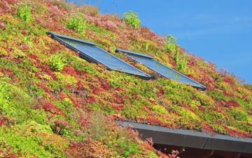 Skerne Park living roof systems