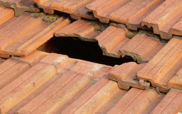 roof repair Skerne Park, County Durham